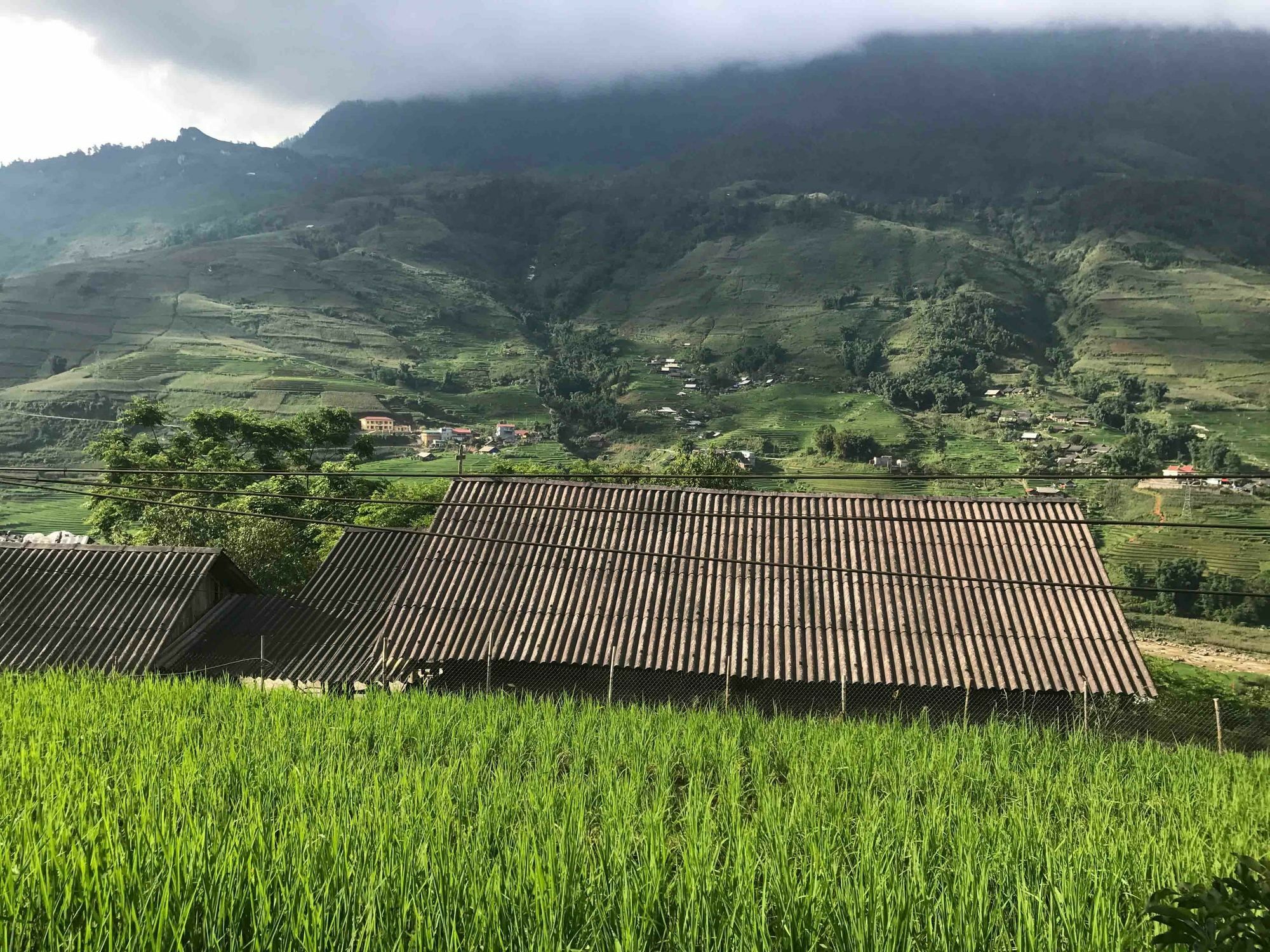 Phori'S House - Bamboo Forest Sapa Bagian luar foto
